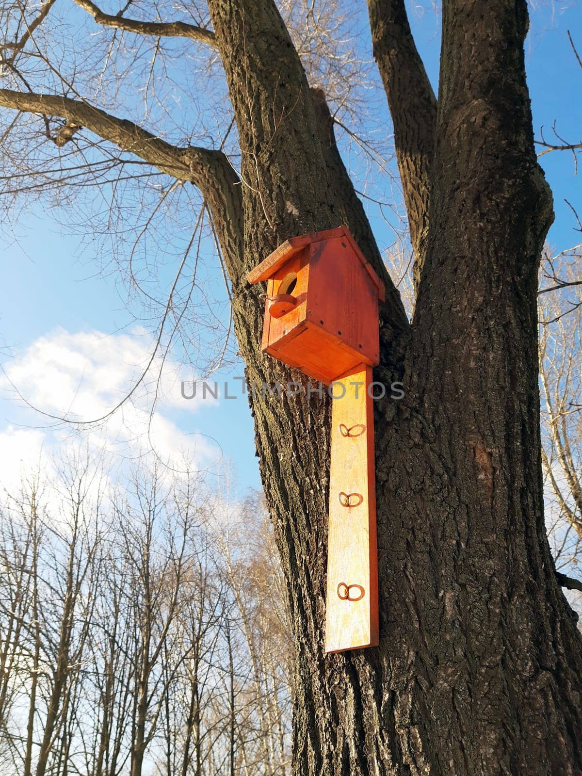 A new wooden birdhouse in the spring on a large tree in the park.A birdhouse on a tree.