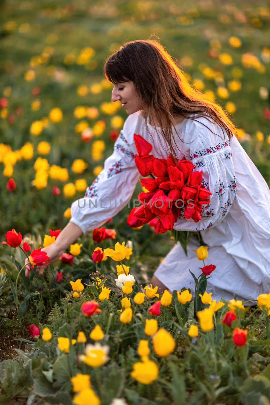 Woman field tulips sunset. Woman against sunset and wild tulip flowers, natural seasonal background. Multi-colored tulips Tulipa schrenkii in their natural habitat are listed in the Red Book