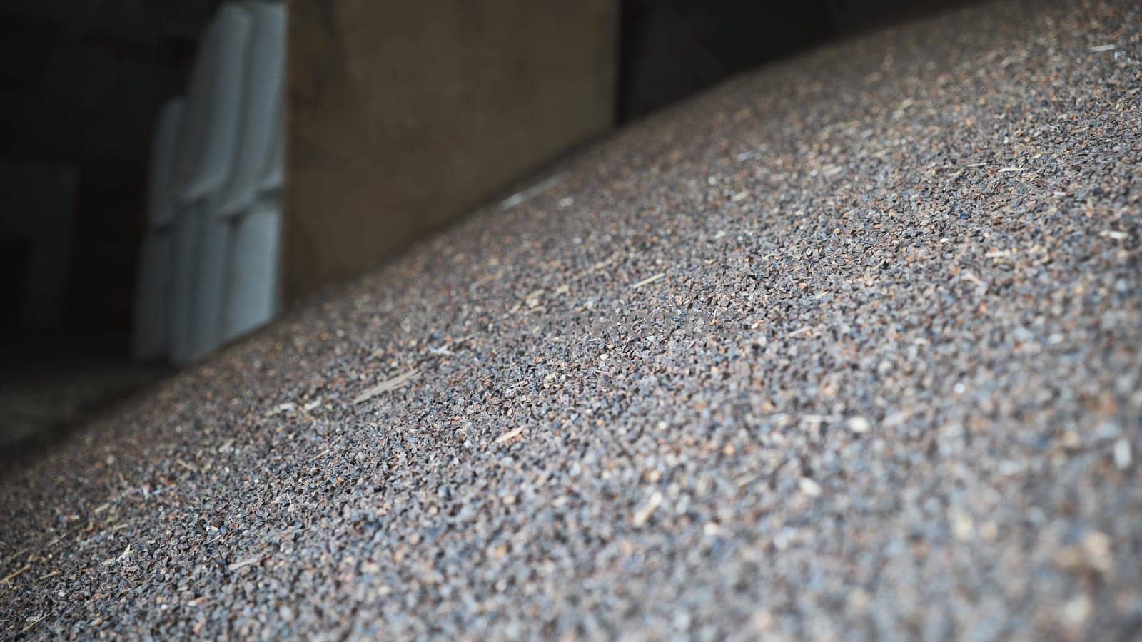 Unprocessed buckwheat groats in stock