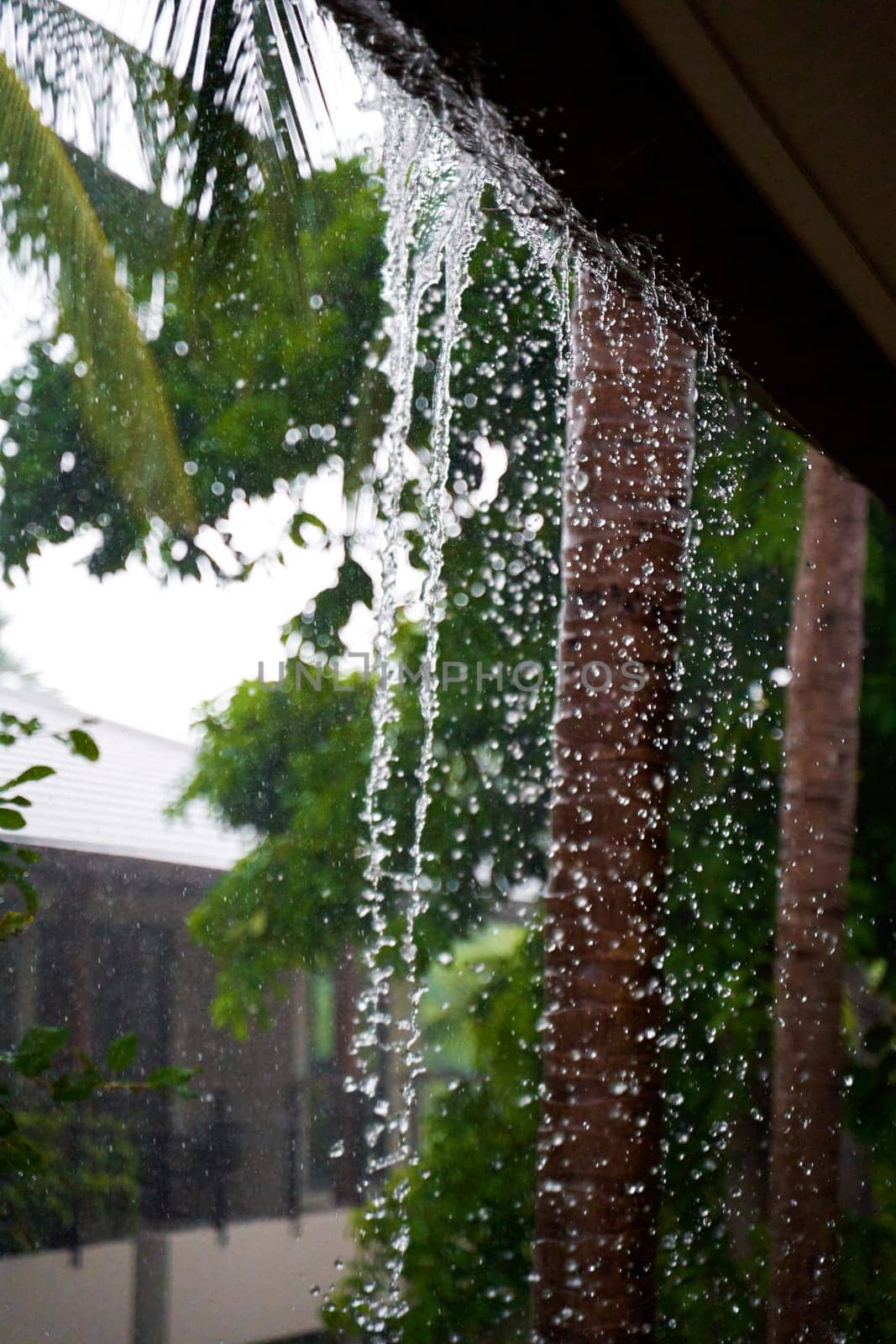 Water falls from the roof breaking the drain during a heavy tropical downpour by Try_my_best