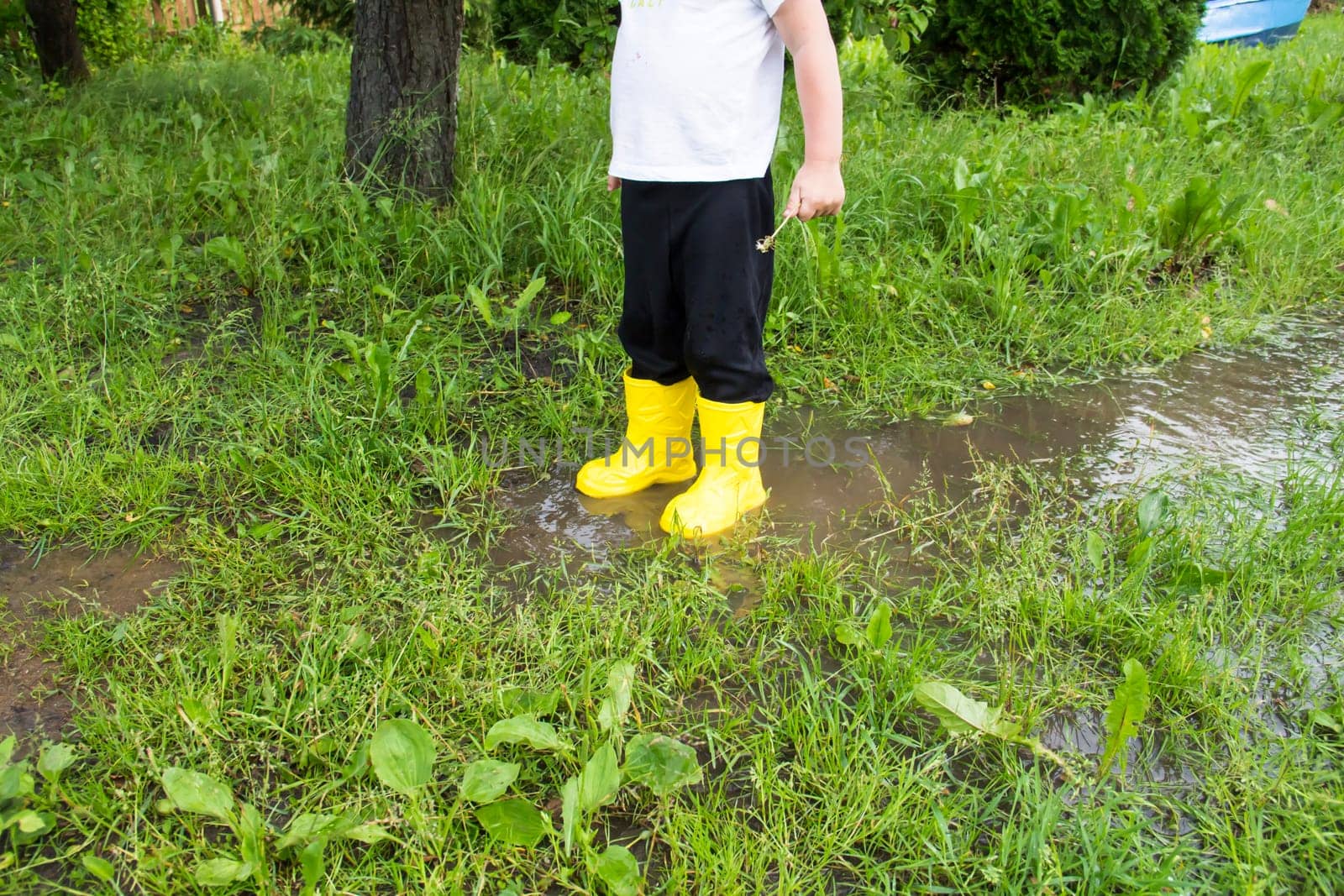 A small, bald-headed boy in yellow boots runs in the countryside through puddles in the fresh air. by Alla_Yurtayeva