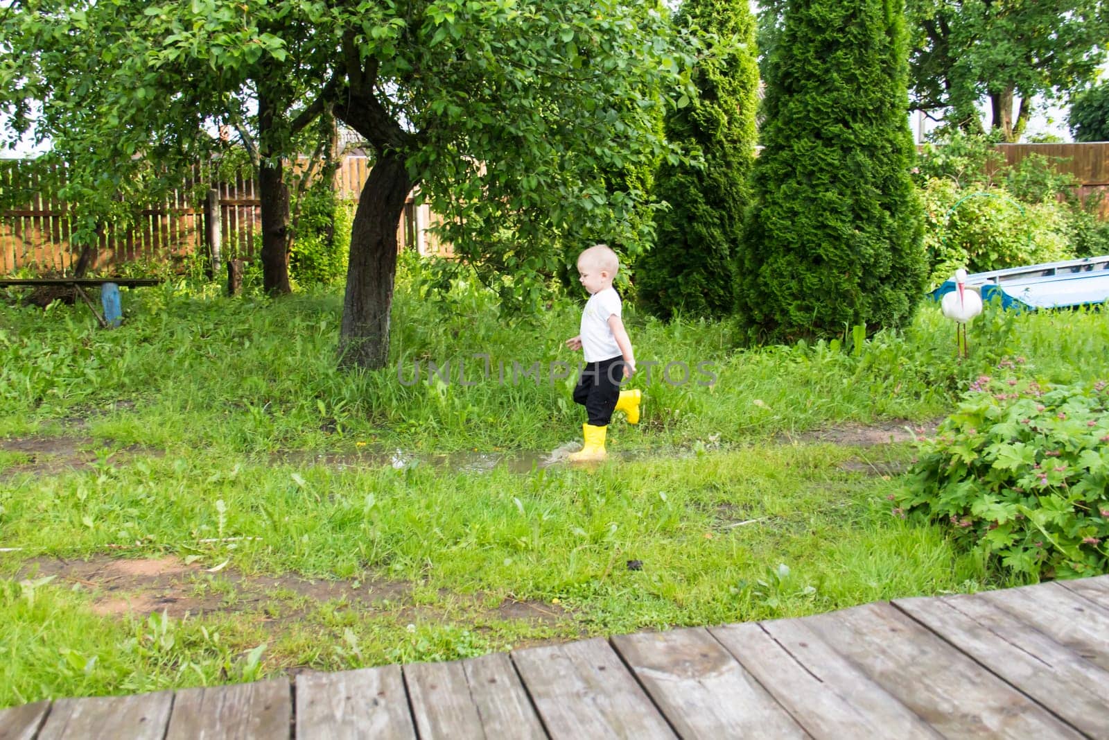 A small, bald-headed boy in yellow boots runs in the countryside through puddles in the fresh air. by Alla_Yurtayeva