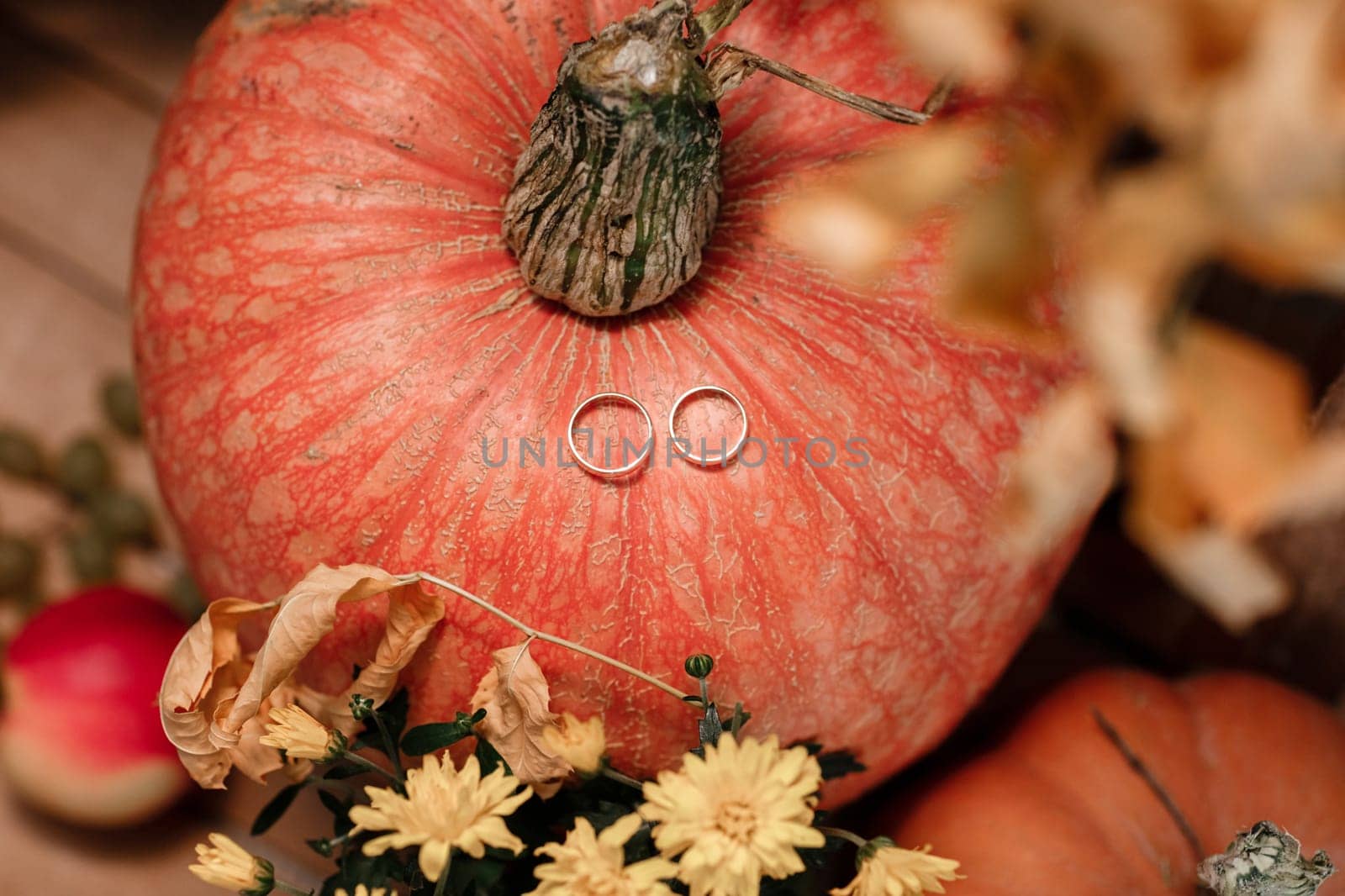 wedding golden rings on pumpkin. autumn wedding day.