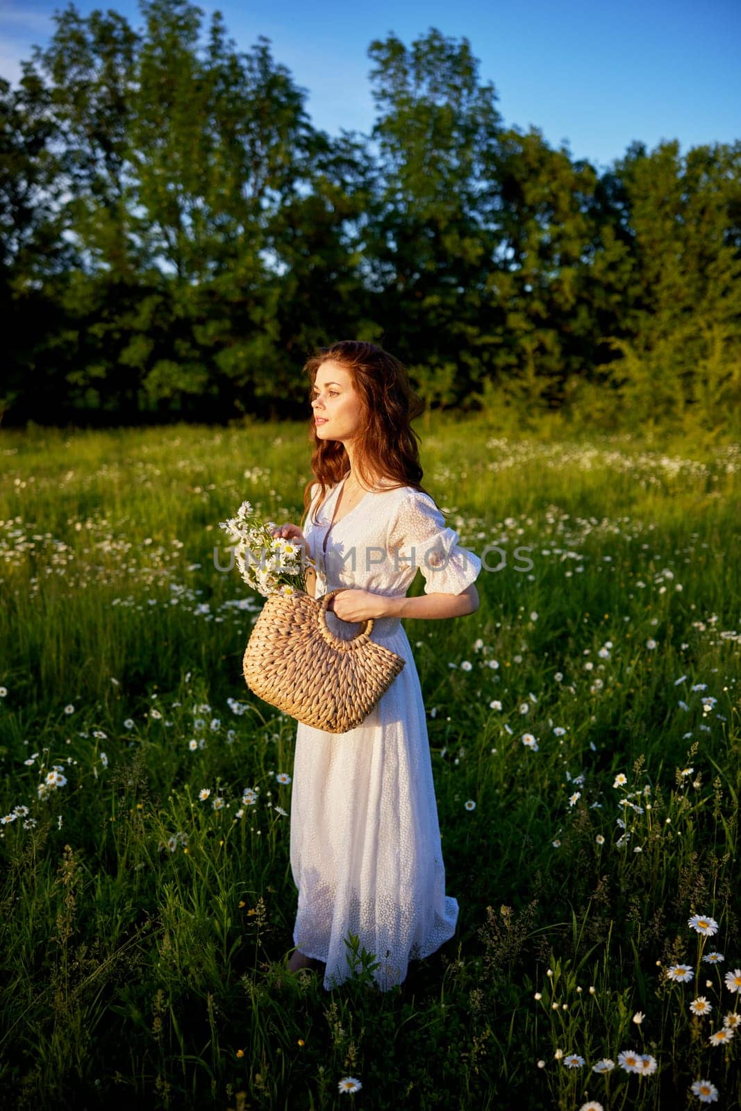 a beautiful woman stands in a flowering field on a sunny day in a light summer dress and with a wicker basket full of flowers. High quality photo
