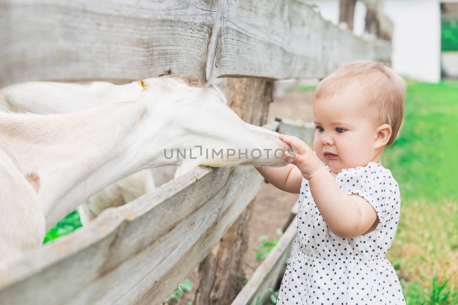 beautiful baby in sundress stroking a goat on the farm.