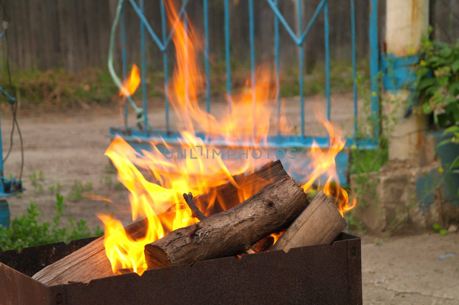 Burning tree trunk and branches in home yard.