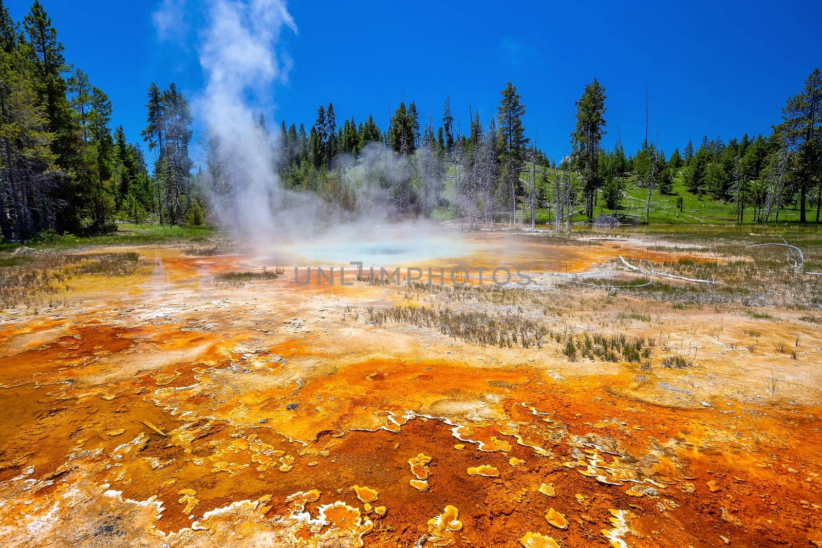  Hot spring in Yellow stone National Park in USA by f11photo
