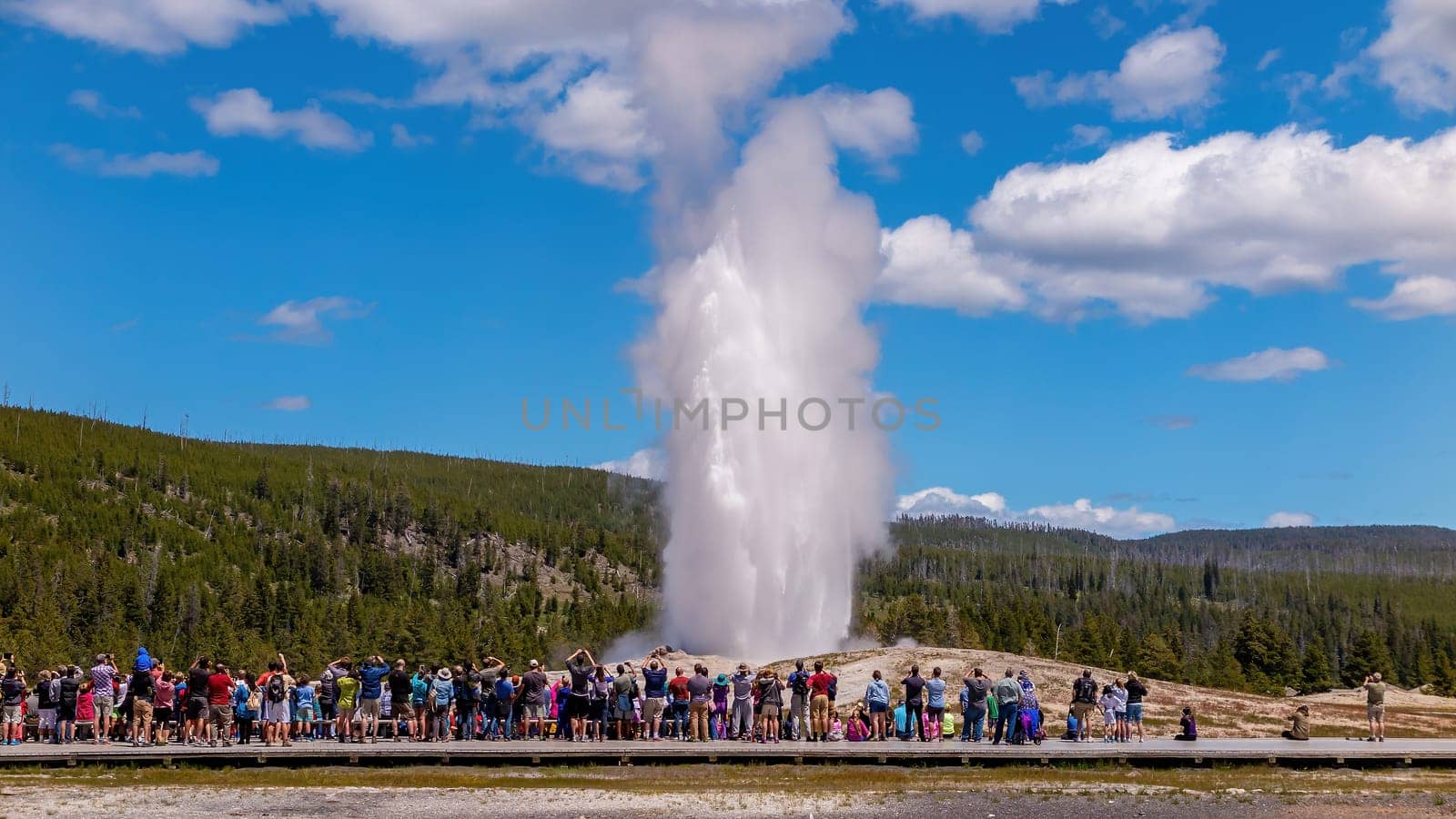 Old Faithful Geyser in Yellowstone National Park, USA with tourlists