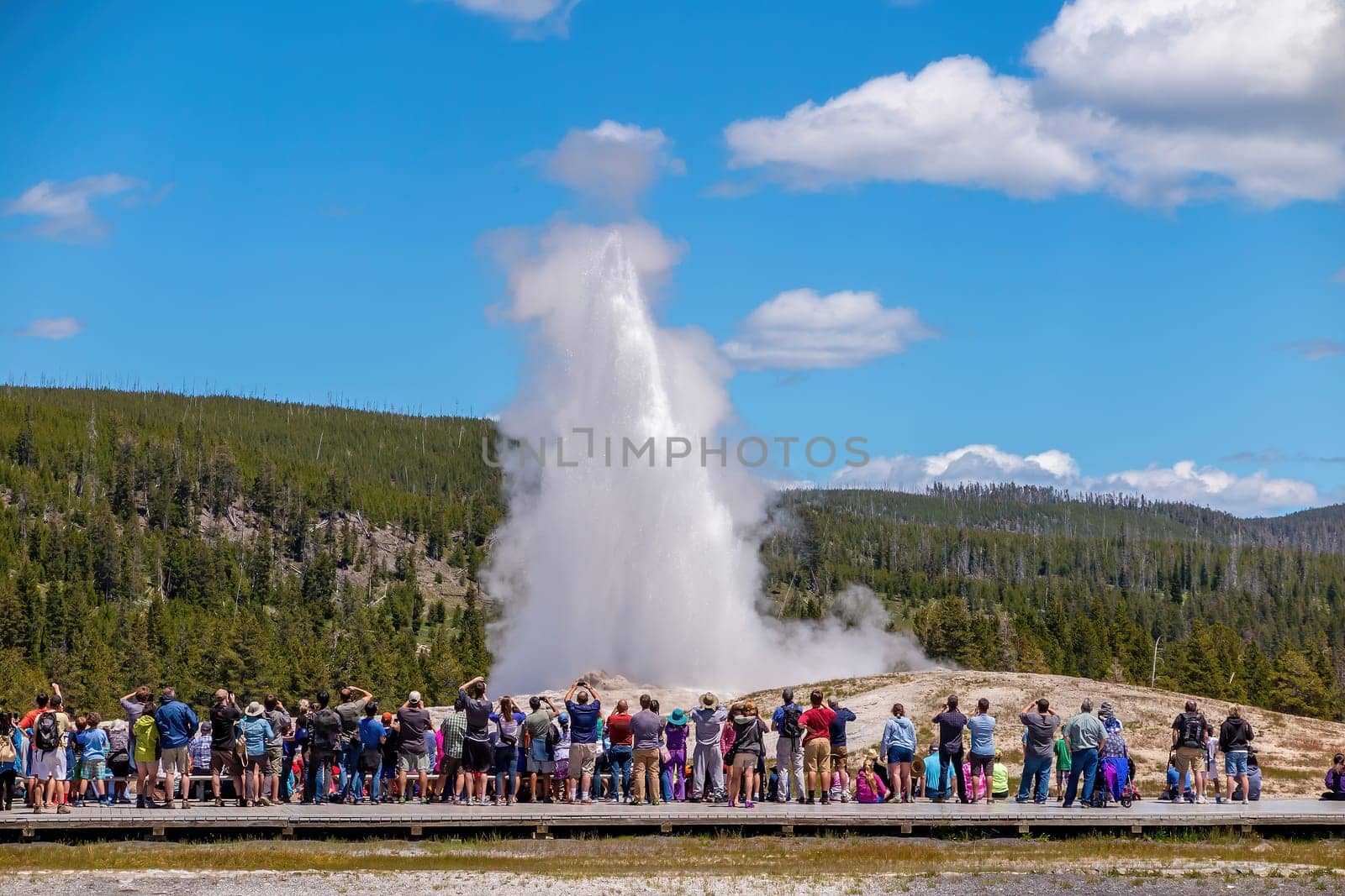 Old Faithful Geyser in Yellowstone National Park, USA with tourlists