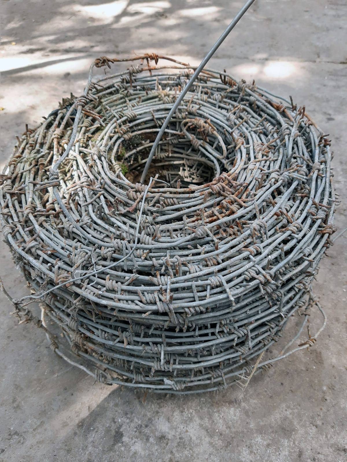 Roll of old barbed wire for fencing close-up on gray concrete in the yard.