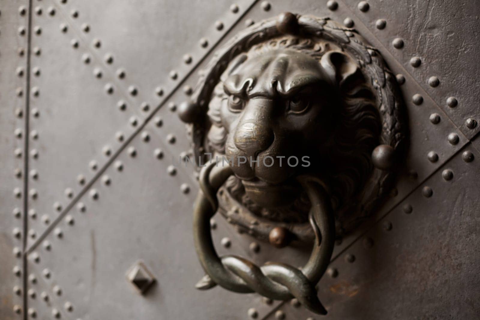 A door knocker in the shape of a lion adorns an old door.