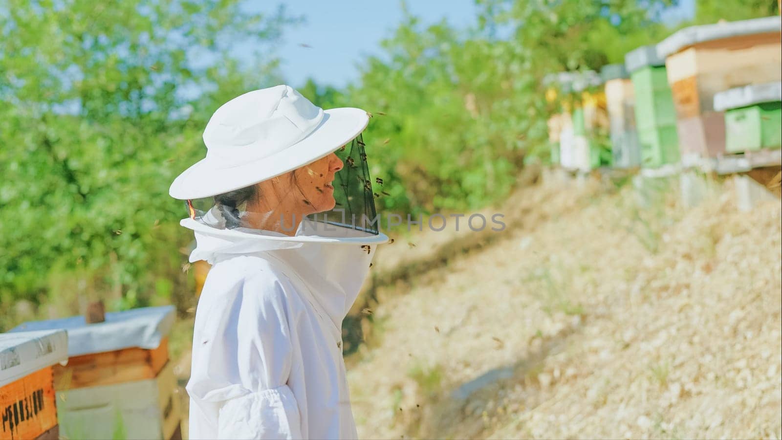 Profile of a female beekeeper in a field with bee hives. Mid shot.