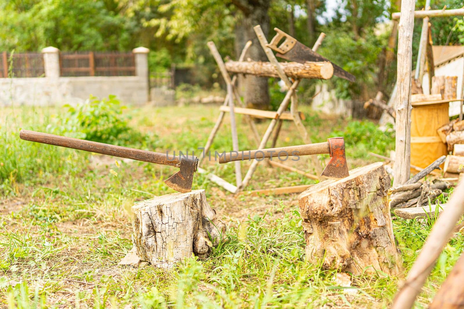 Rural scene of two axes pinned on logs in a garden