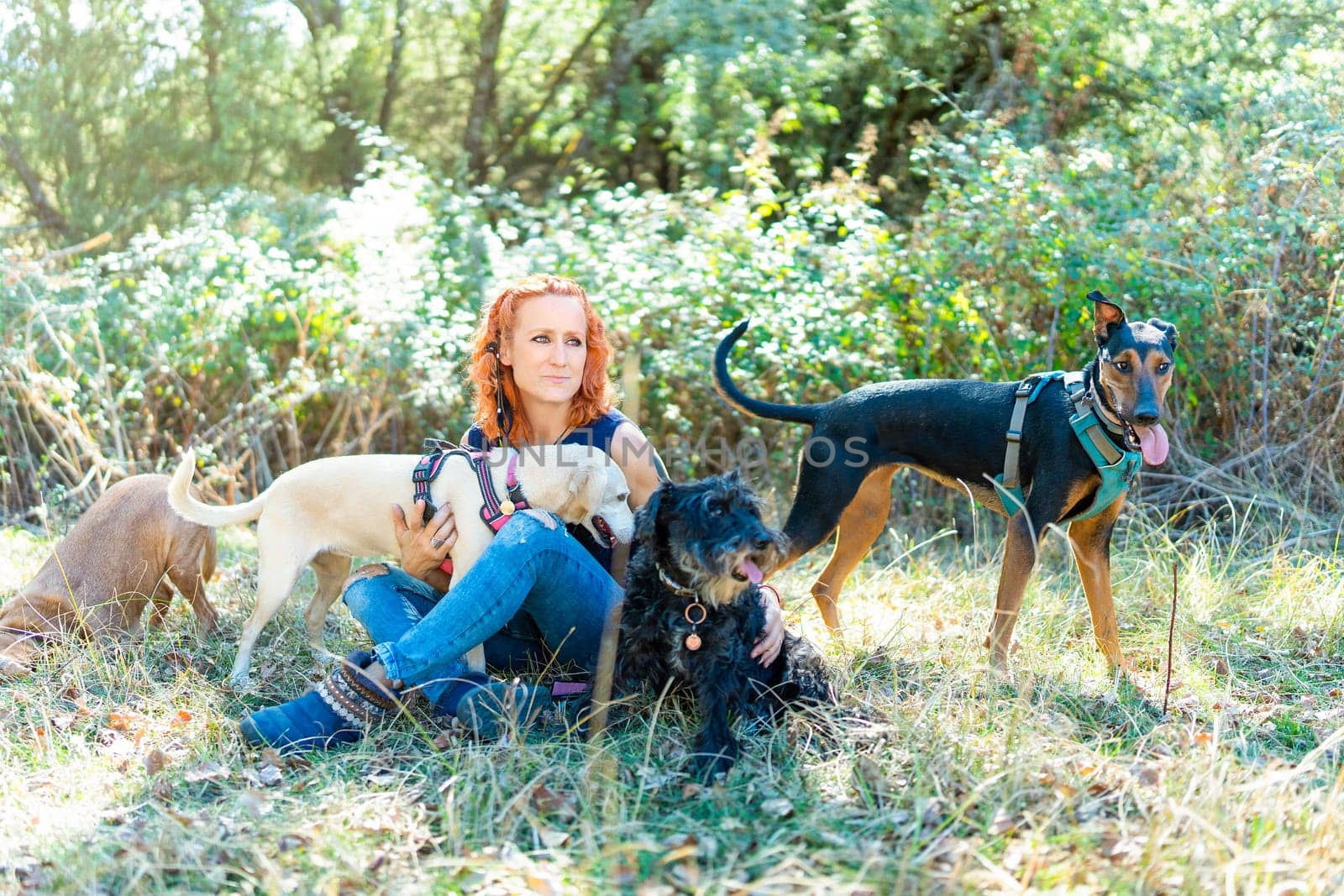 Outdoor portrait of a caucasian woman sitting on a field surrounded by domestic dogs