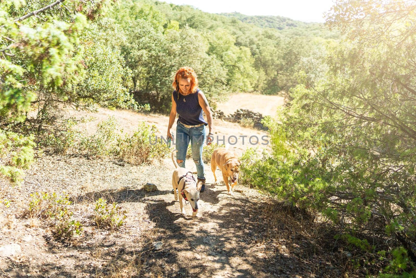 Caucasian fit woman walking dogs along a path in the mountain in a sunny day