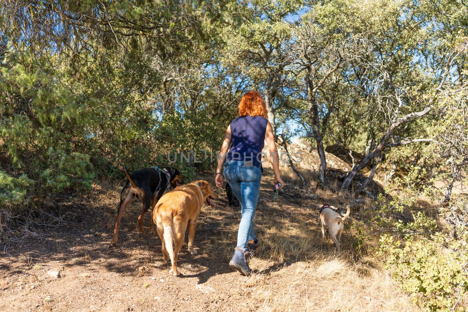 Rear view of an unrecognizable woman walking the dogs in the mountain