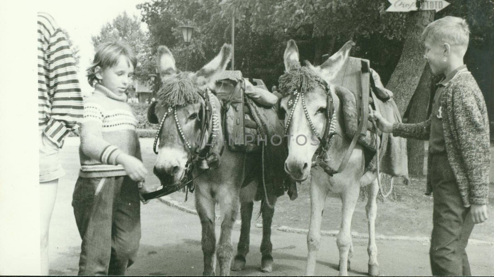 USSR - CIRCA 1970s: Retro photo shows children with donkeys in the park. Vintage black and white photography.