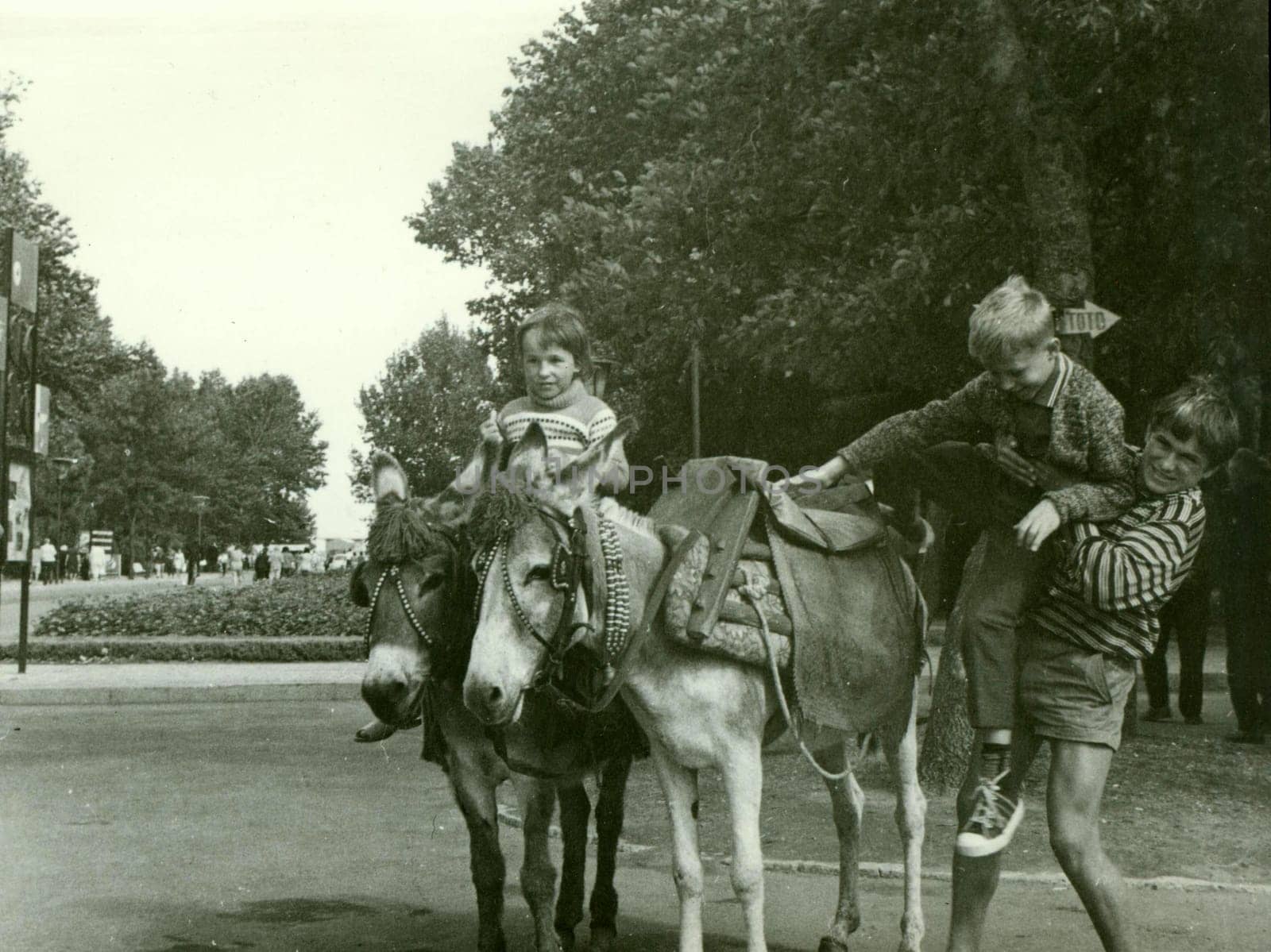 USSR - CIRCA 1970s: Retro photo shows children with donkeys in the park. Vintage black and white photography.