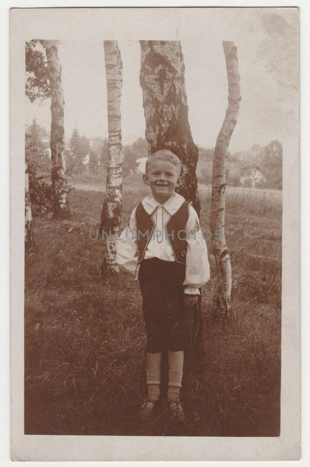Vintage photo shows a small boy outside. Silver birches are on the background. Retro black and white photography. by roman_nerud