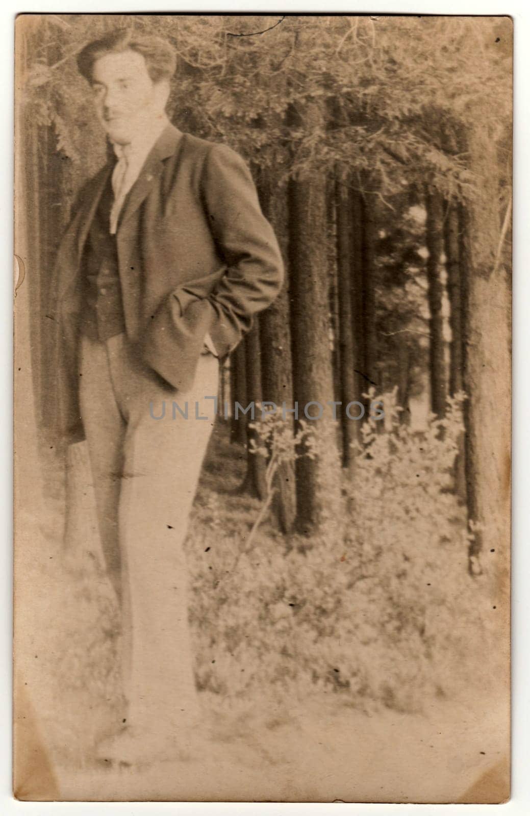 THE CZECHOSLOVAK REPUBLIC - CIRCA 1930s: Vintage photo shows a young man in the forest. Retro black and white photography. With original film grain, blur and scratches.