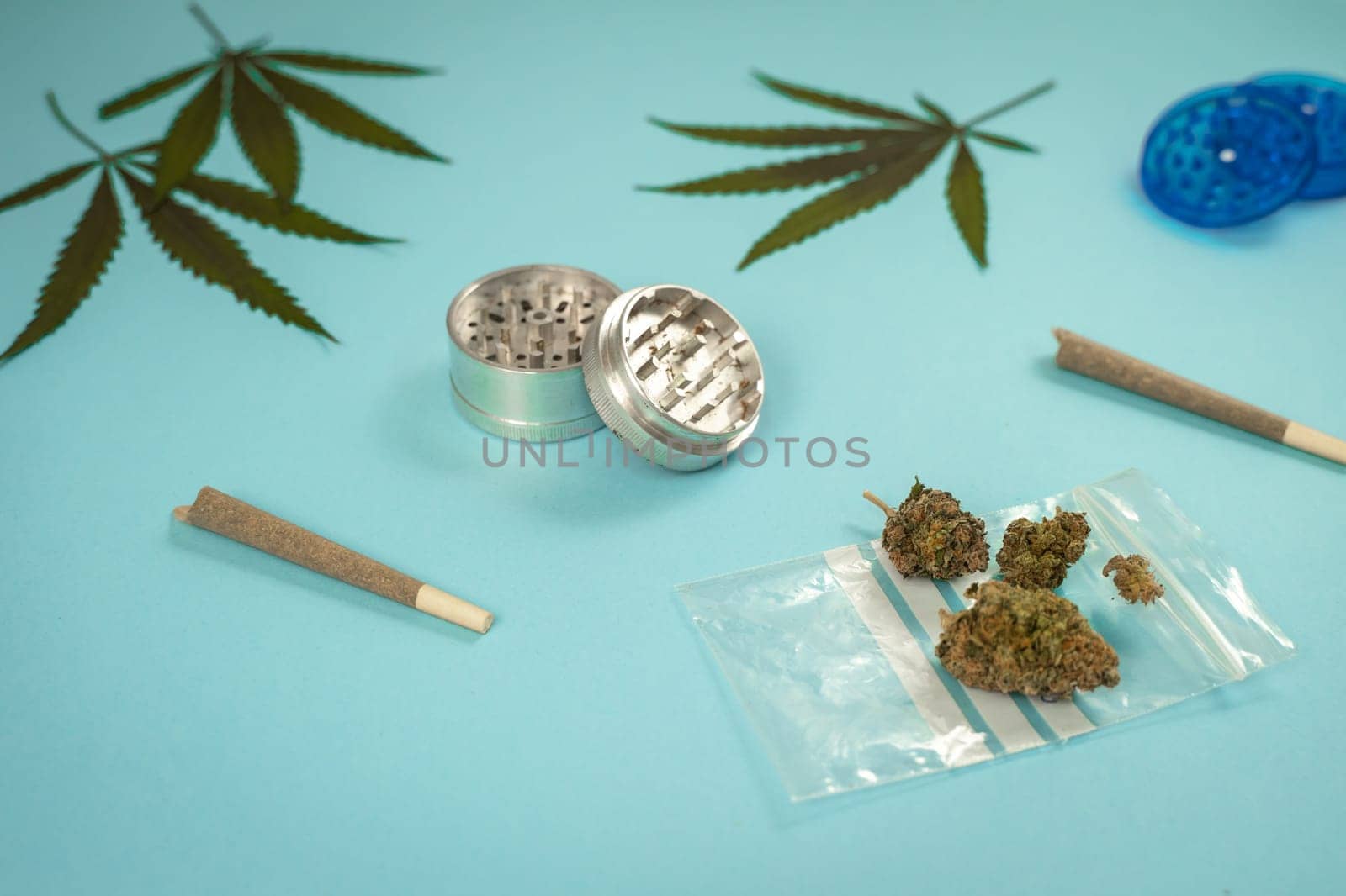 CBD medical marijuana and hemp leaves. Medical cannabis. by PaulCarr