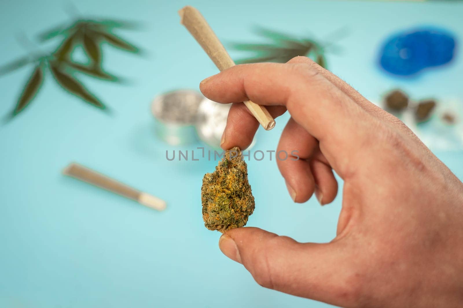 Hand with CBD medical marijuana and hemp leaves on turquoise background. by PaulCarr