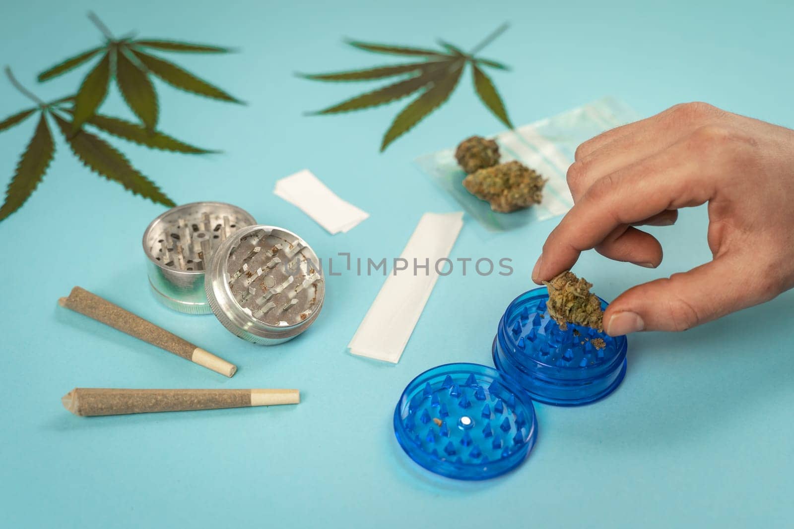 Hand with CBD medical marijuana and hemp leaves on turquoise background. Medical cannabis concept. Organic and natural hemp-based cosmetic and beauty products. High quality photo