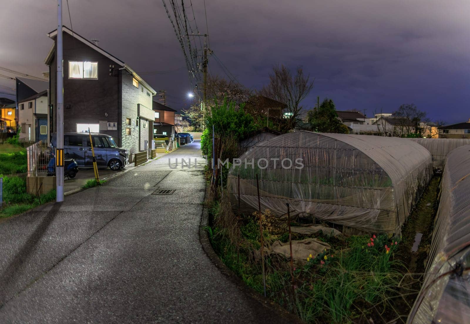 Lights on in small house on quiet road by farm and greenhouses at night. High quality photo