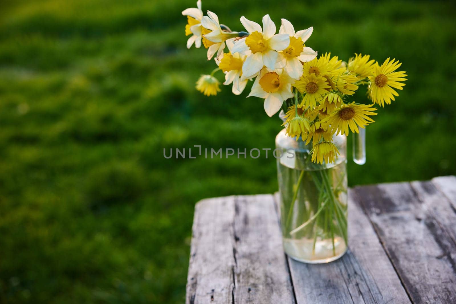 still life of spring flowers on a sunny day. High quality photo