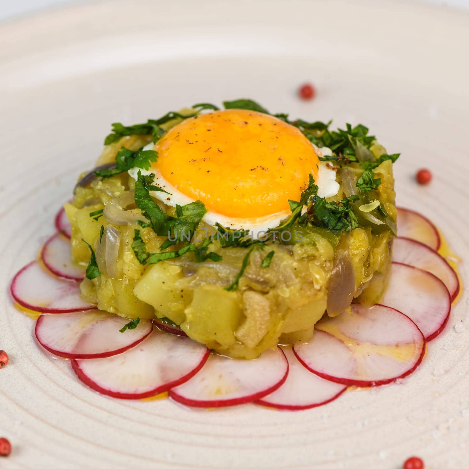 Recipe of courgette meat, onion, potato, garlic, pepper, coriander and egg yolk fried on a bed of round radish, High quality photo