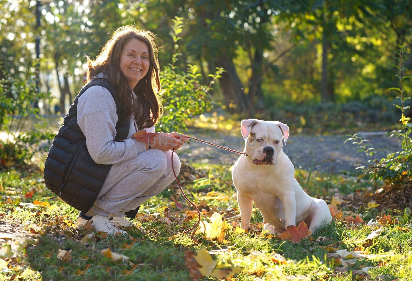 the dog plays with the mistress in the park. Close-up of a woman in a jacket and an American bulldog dog playing among the yellow autumn leaves in the park by aprilphoto