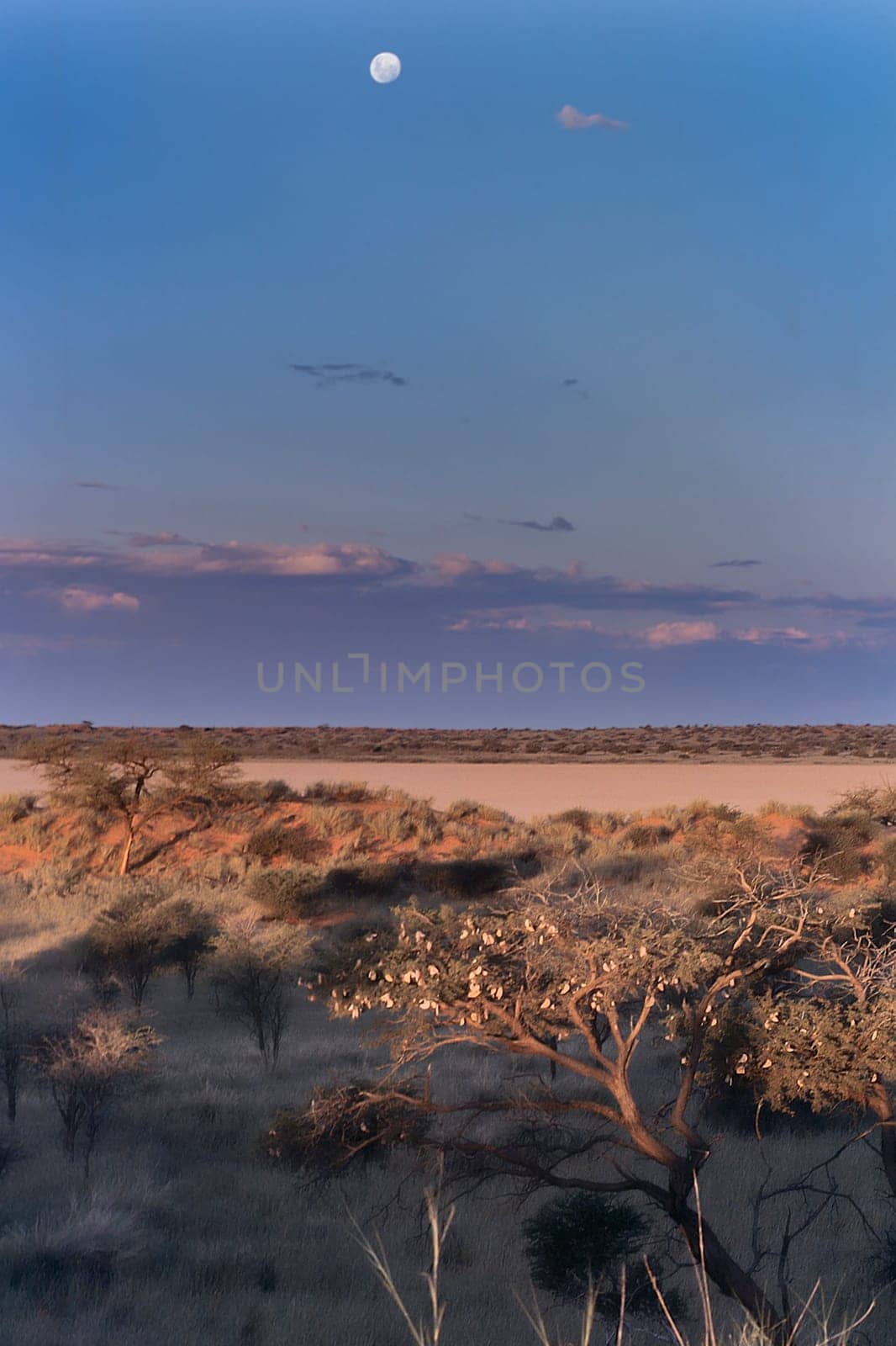 moon on dunes of Kalahari desert, Hardap, Namibia, Africa