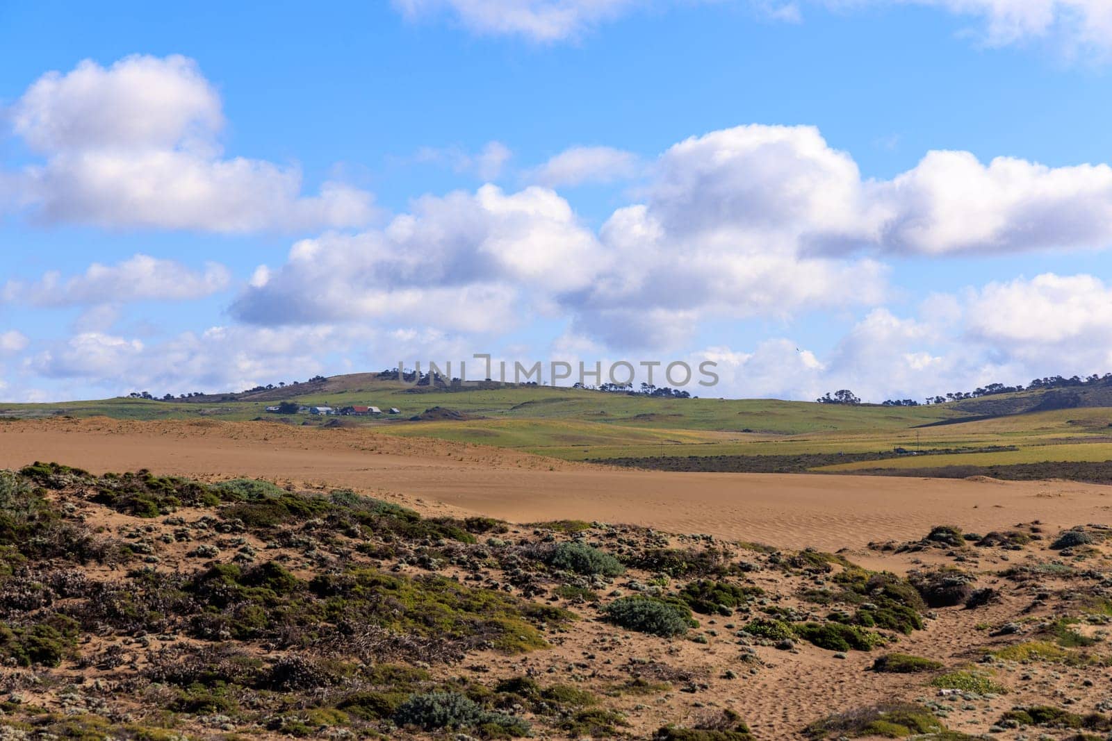 Distant ranch on green rolling hills by sand dunes on sunny day in Point Reyes., California High quality photo