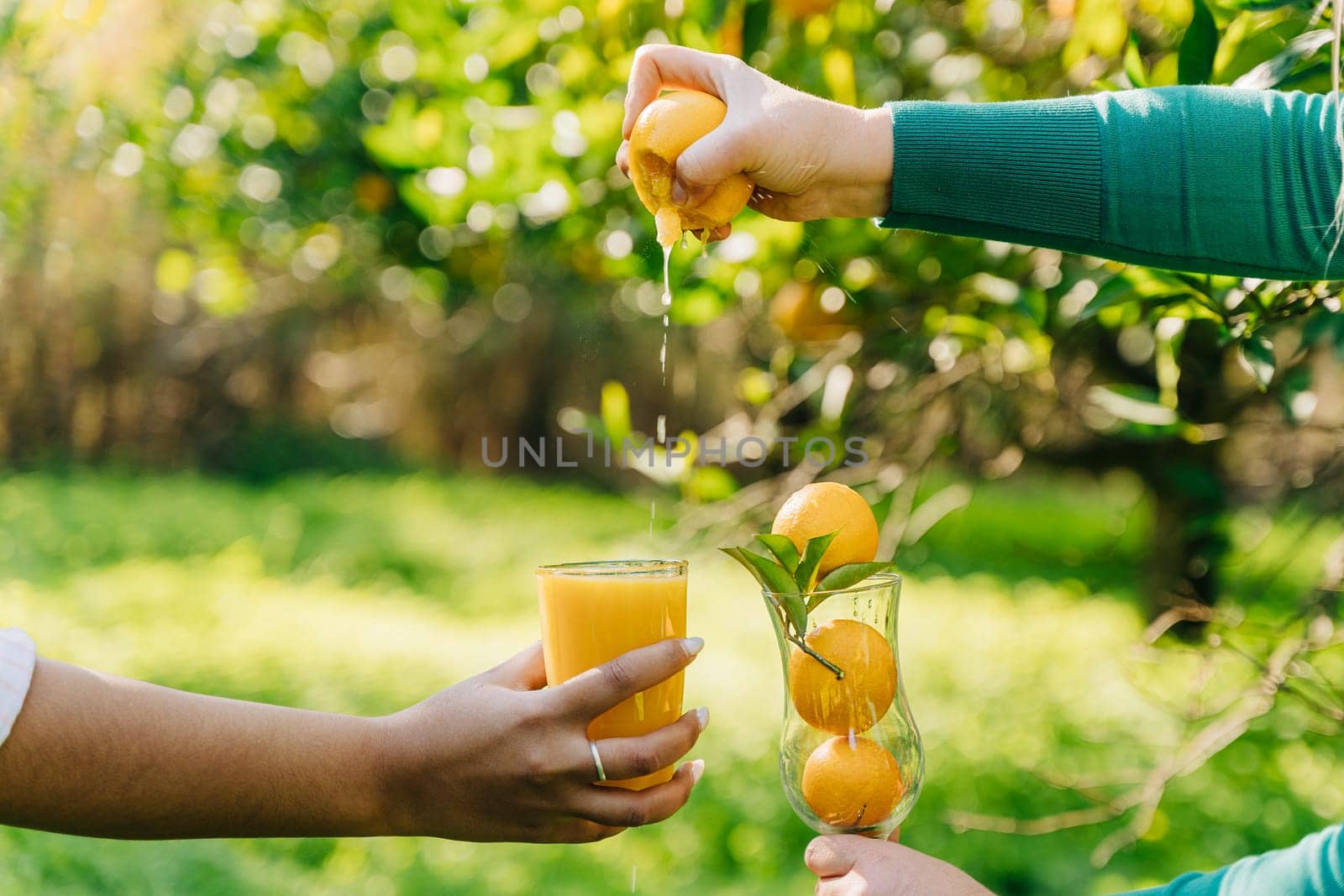 Woman's hand squeezes a fresh juicy organic ripe orange citrus juice into glass in the orangery orchard fruit garden farm