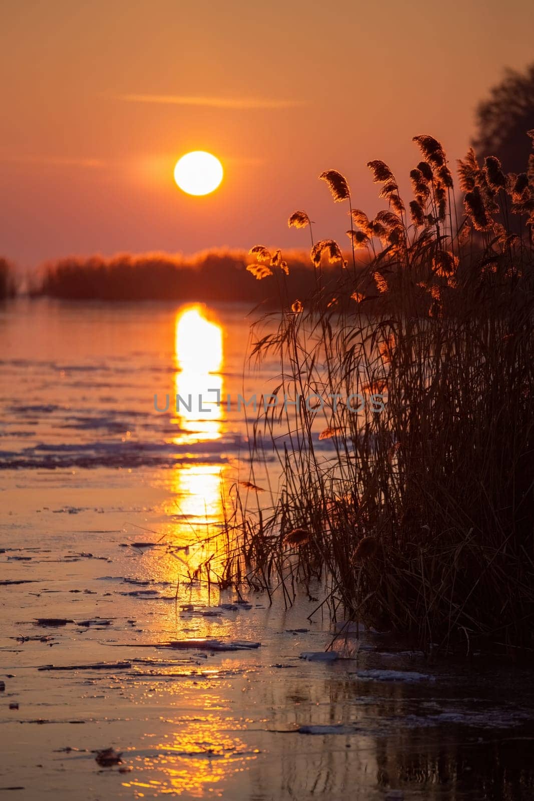 Winter sunset over the lake Balaton of Hungary