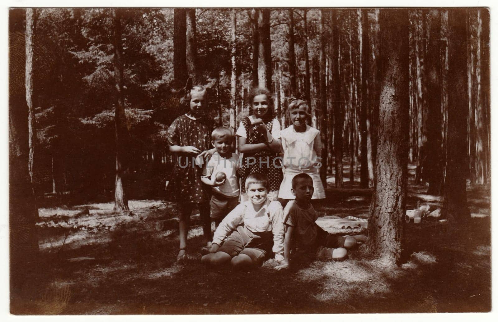 THE CZECHOSLOVAK REPUBLIC - JULY, 1925: Vintage photo shows children in the forest. Retro black and white photography.