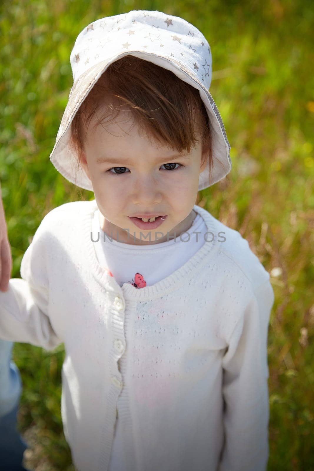 Portrait of a little girl with Asian eyes in a meadow or field with grass and flowers on a sunny summer day by keleny