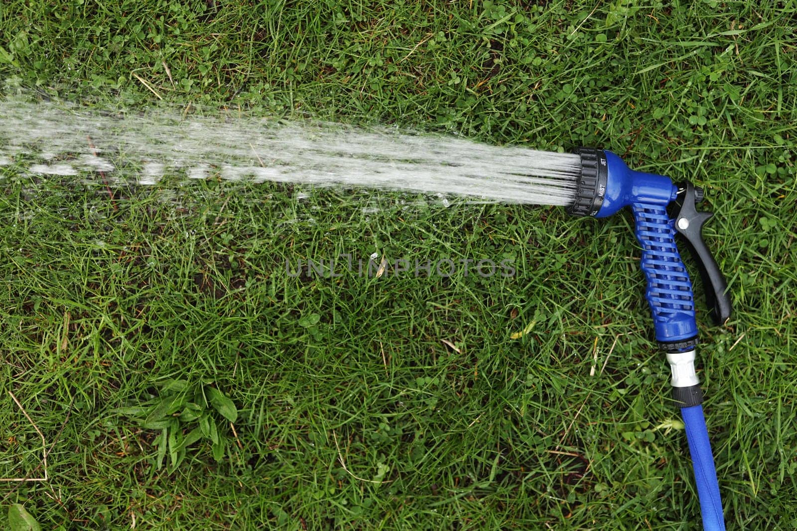 Blue gun spray water on the hose for watering the lawn. Blue spray gun for watering green grass. Irrigation of the garden with a garden hose. Gardening. Farming. Agriculture. Place for your text.