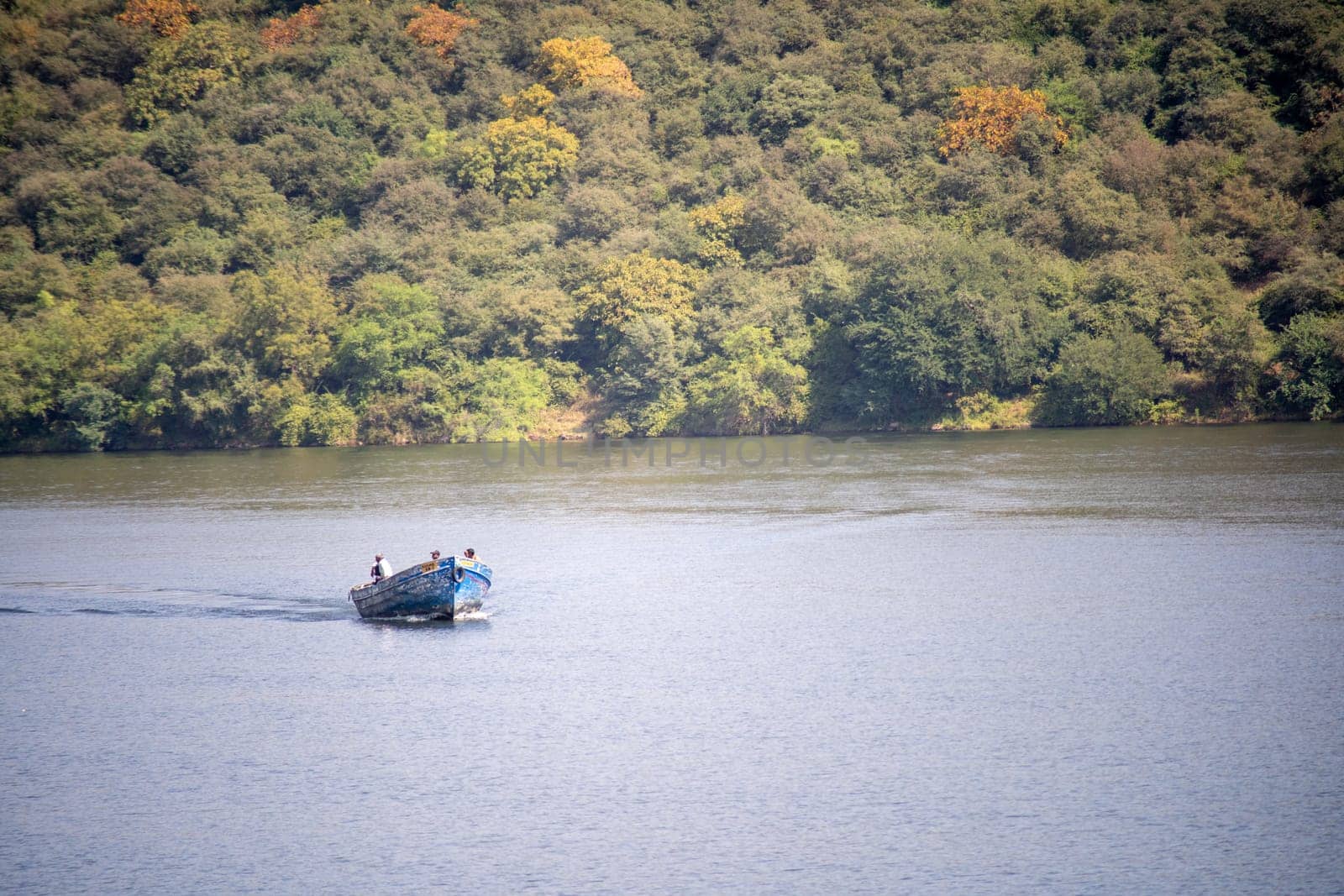 aerial drone shot of handmade boat used by rural villagers to cross over lakes like Dhebar, Pichola from tree covered mountains as a ferry service by Shalinimathur