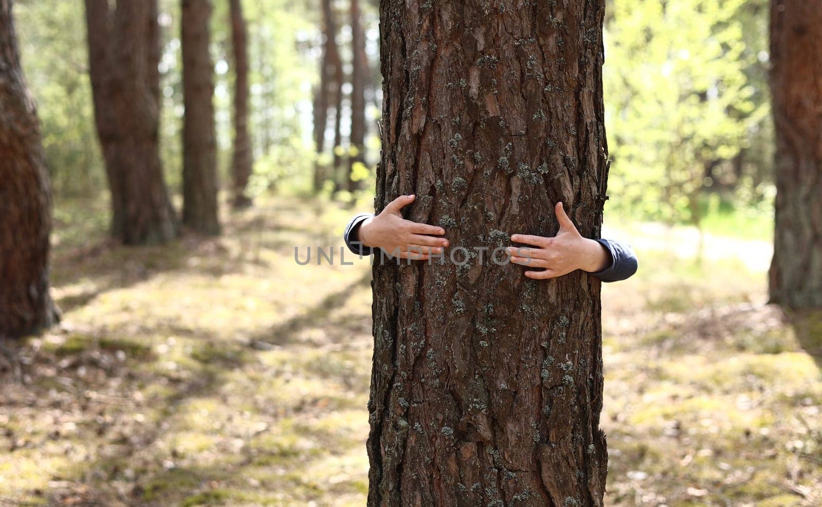 Man with his hands hugs a tree trunk, unity with nature, environmental protection. hand touch the tree trunk. ecology a energy forest nature concept. a man hand touches a pine tree.