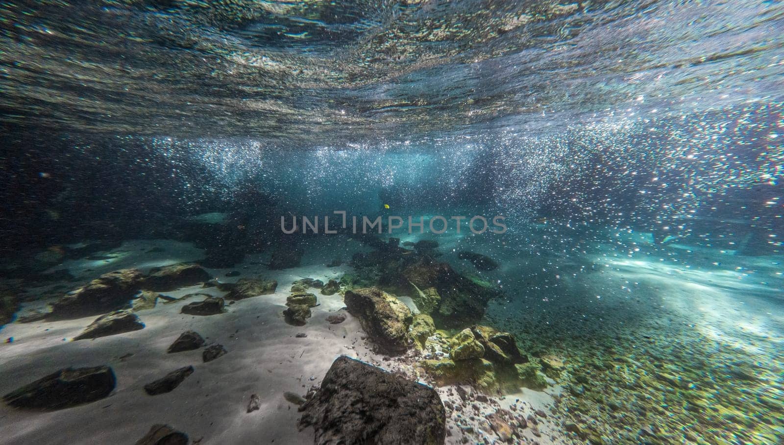 Experience the tranquility of meditating beneath the crystal-clear waters of a cascading waterfall. The underwater scene is filled with bubbles, sand, and marine life, making it a perfect destination for scuba diving and snorkeling enthusiasts.