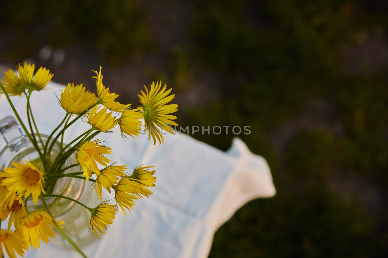 top view of a bouquet of yellow flowers standing on the street by Vichizh