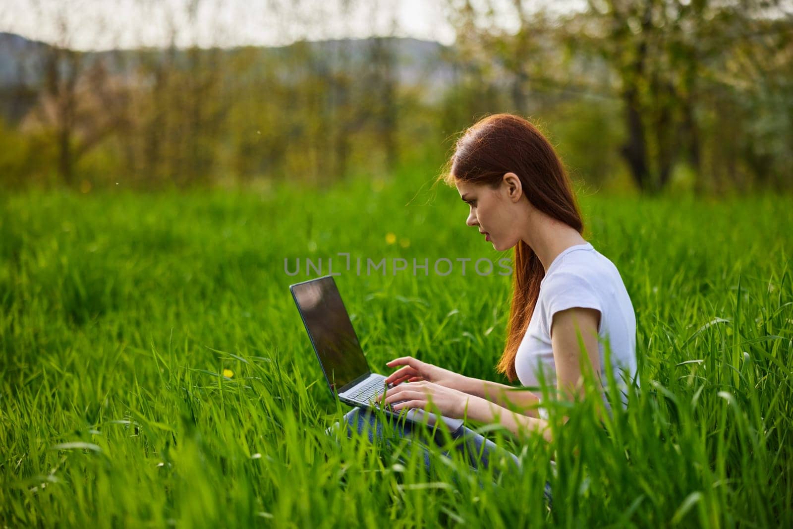 a woman works remotely at a laptop being outdoors in tall grass. High quality photo