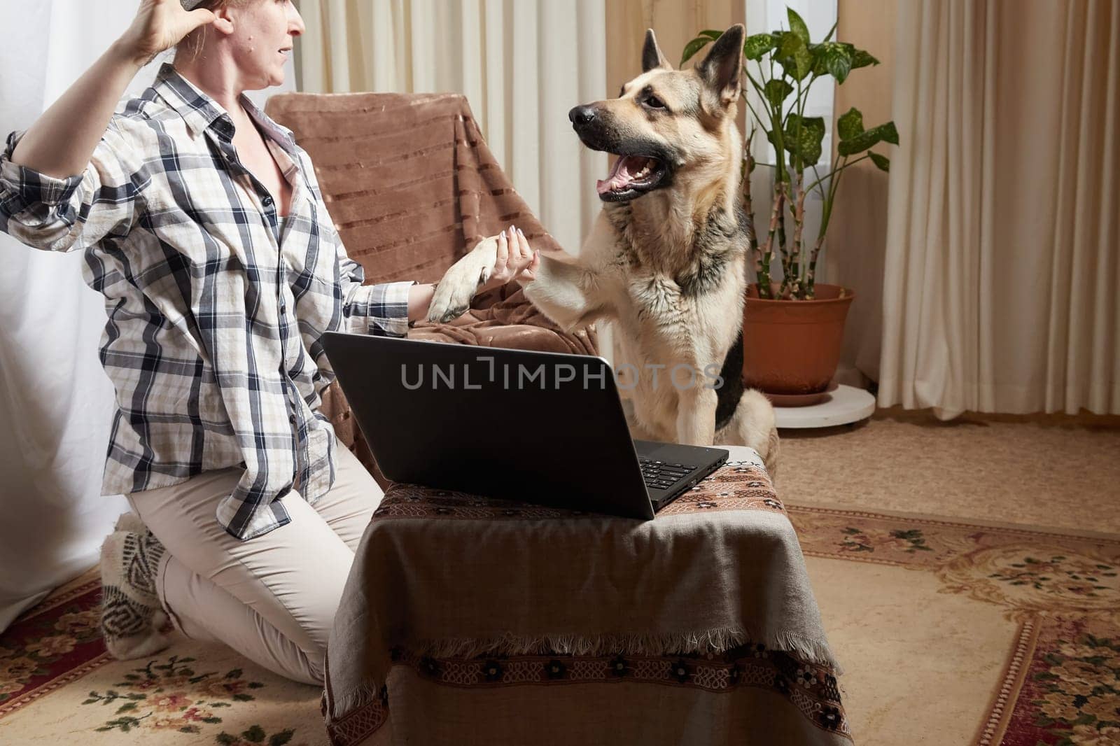 Woman and shepherd dog with netbook in living room. Portrait of a pet and a girl with laptop having fun and joy. Partial focus