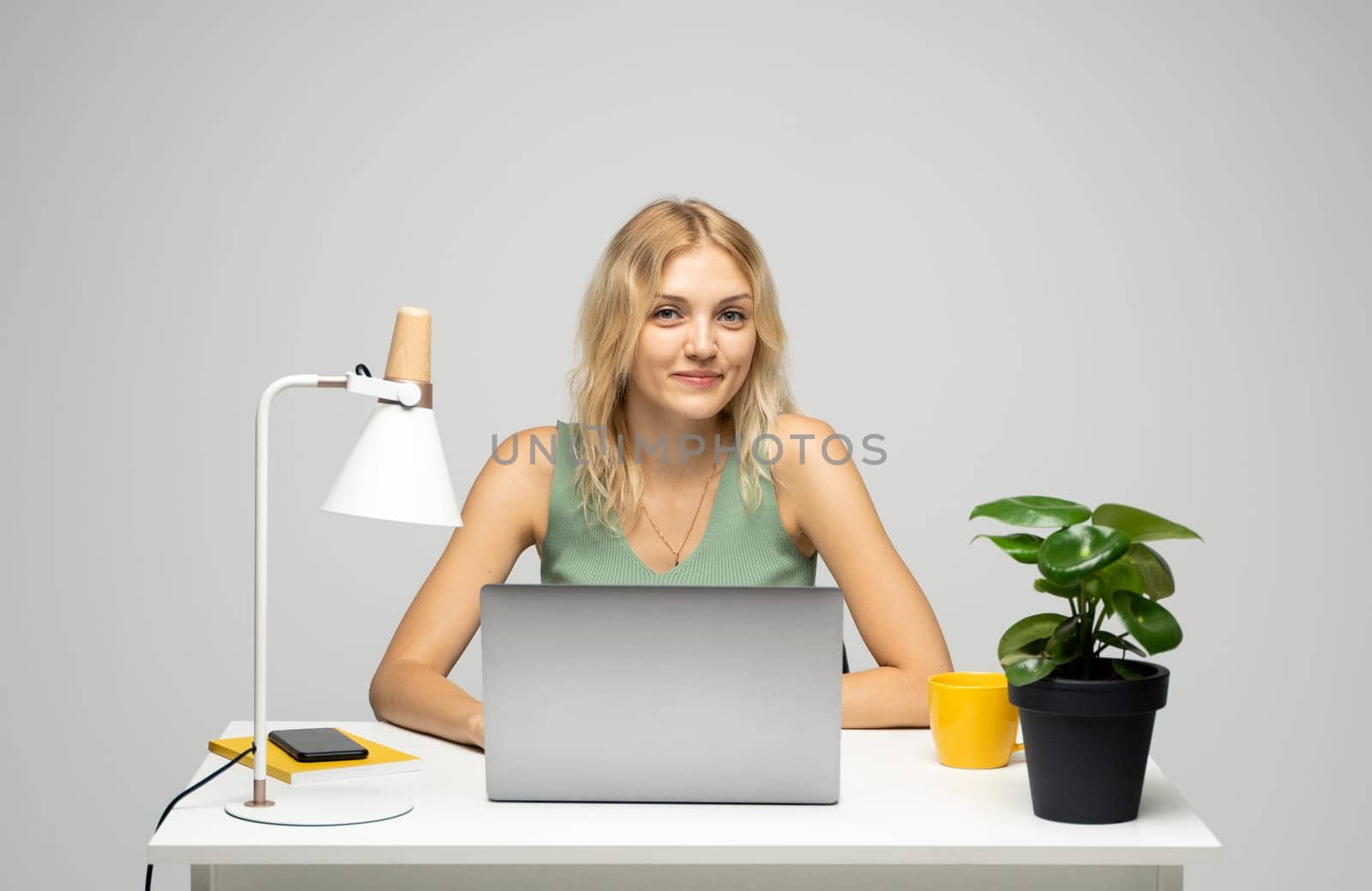 Young attractive business woman sitting at the table and working on a laptop and talking with a client