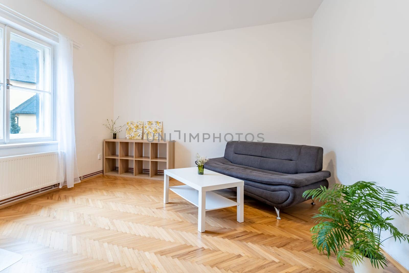 living room in a minimalist style. High quality photo