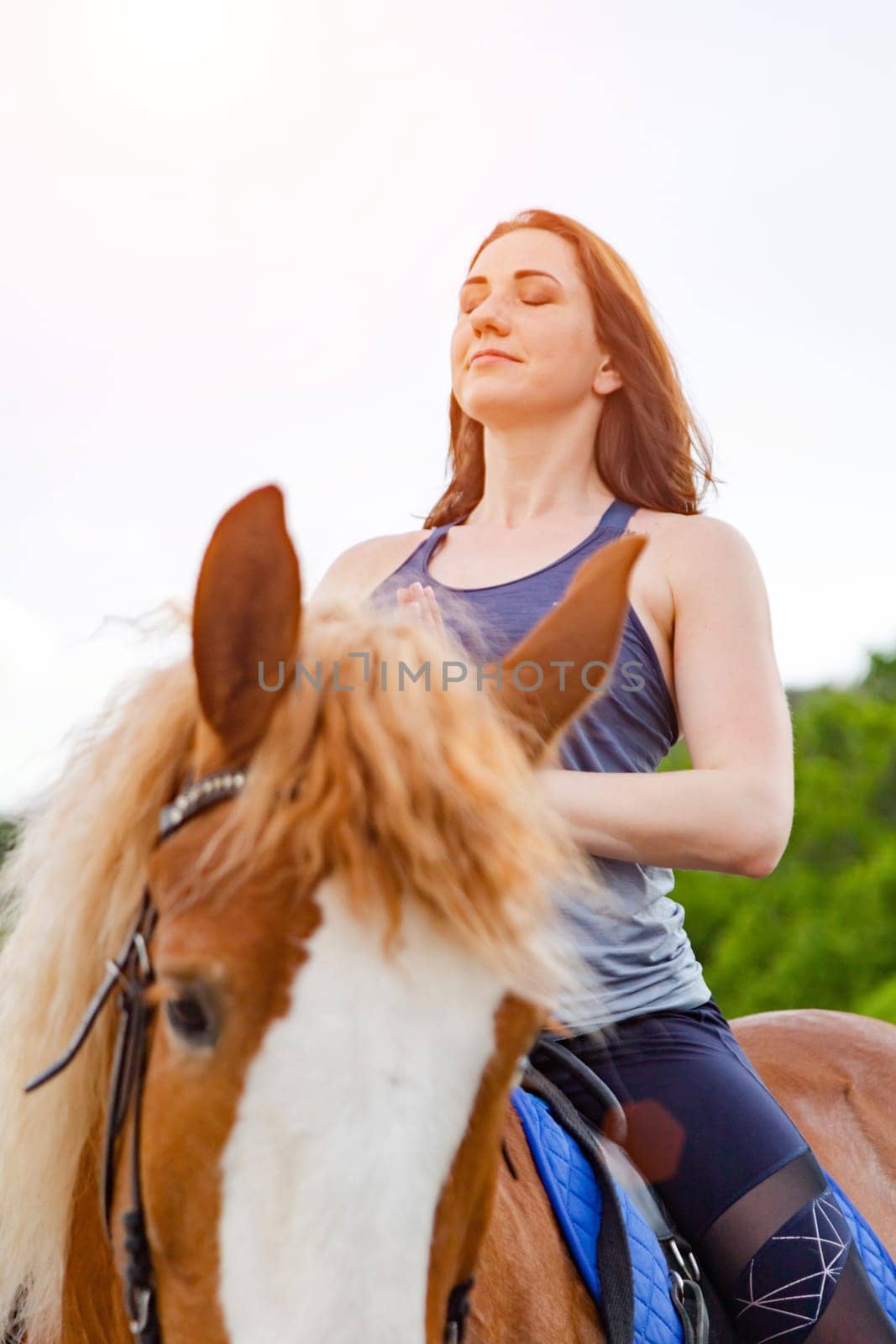 young woman doing yoga on a horse against the backdrop of trees by glavbooh