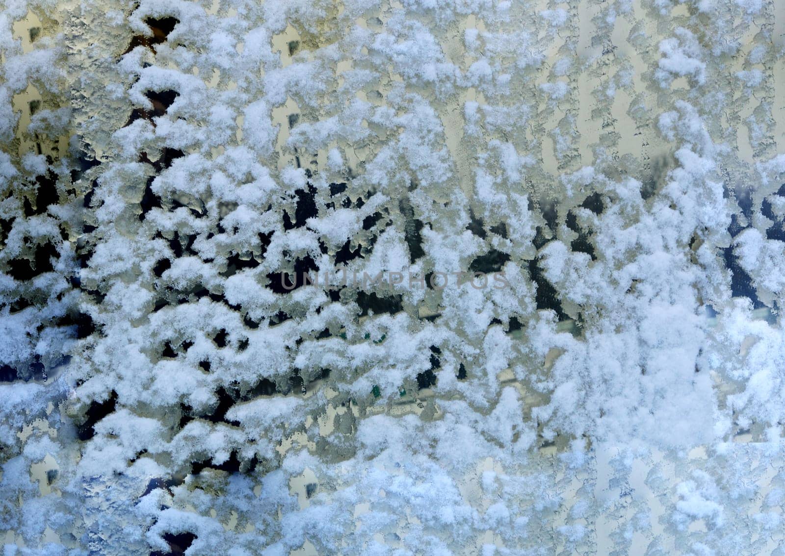 Snow-covered glass close-up in winter. by gelog67