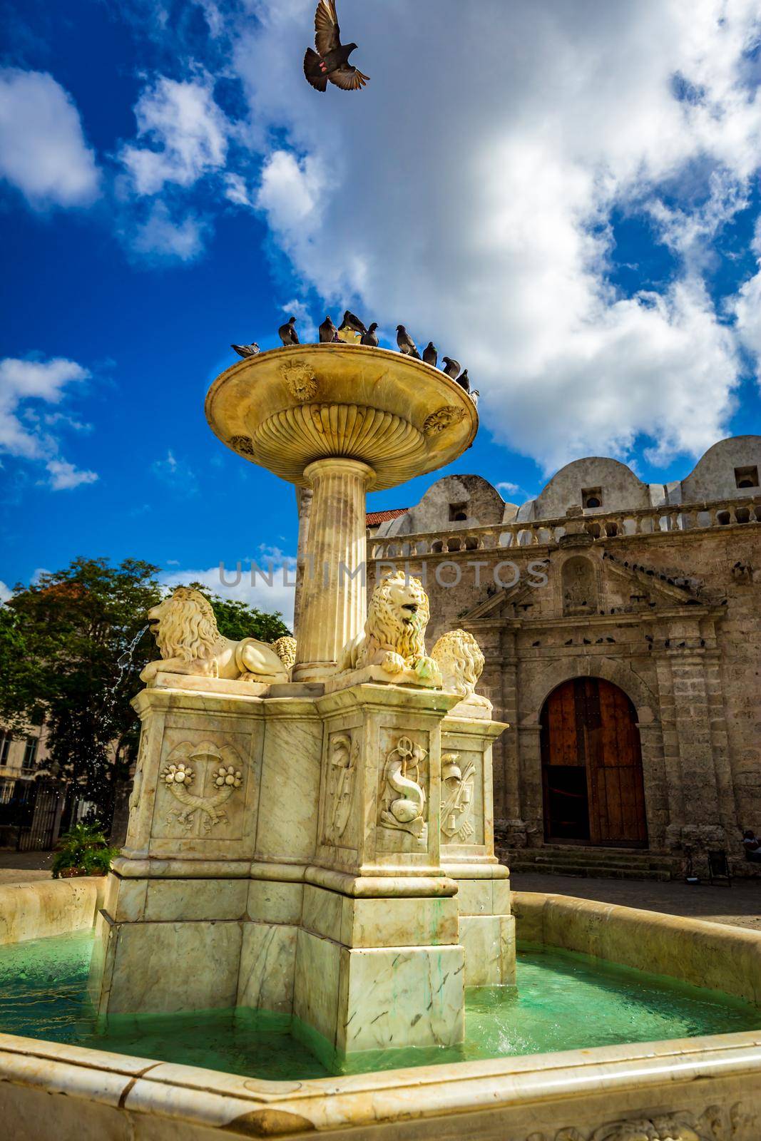 The Fountain of lions in Plaza de San Francisco, in front of the Basílica Menor of San Francisco de Asís, Old Havana, Cuba