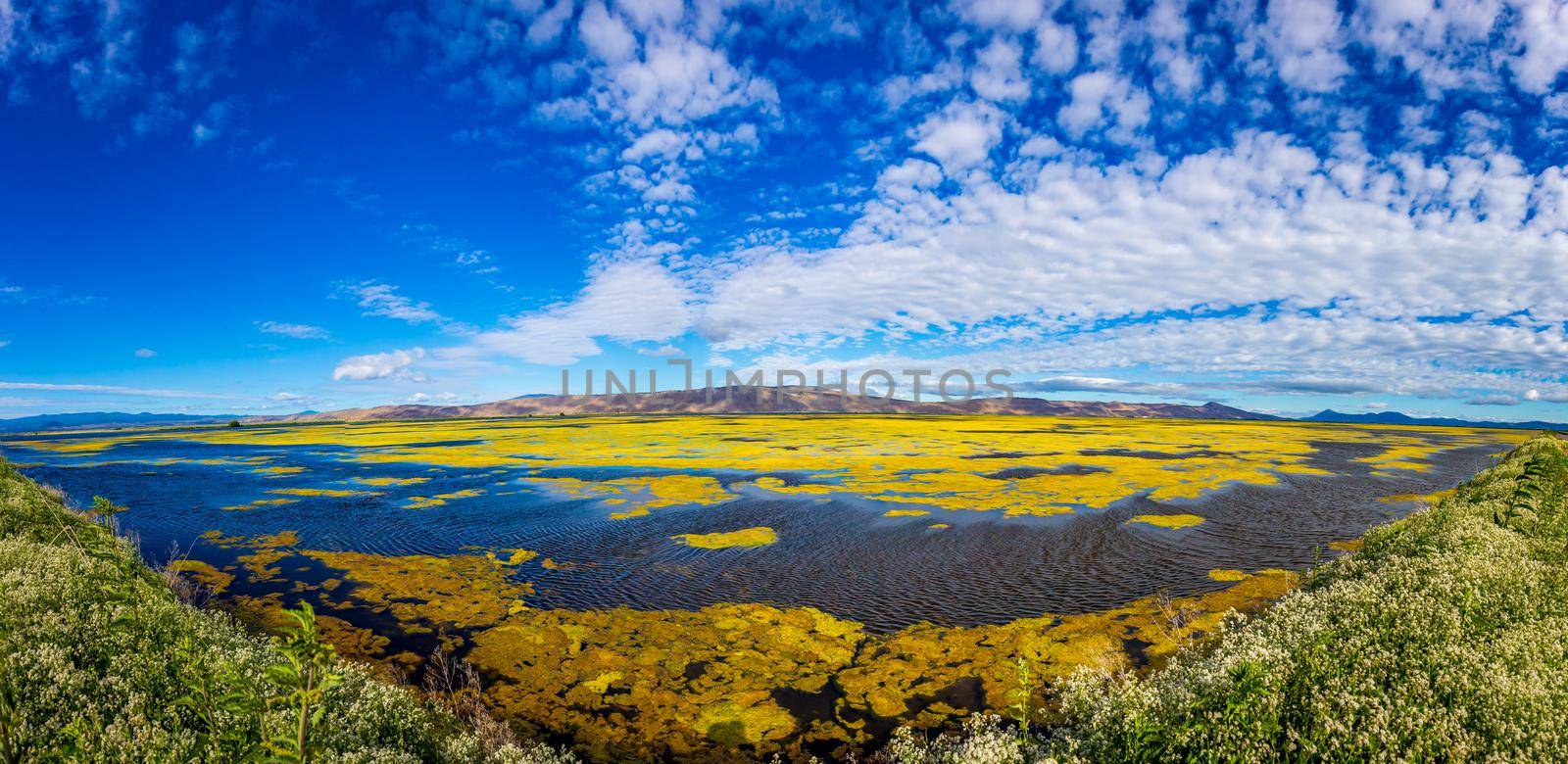 Panorama view of Tule Lake National Wildlife Refuge, California